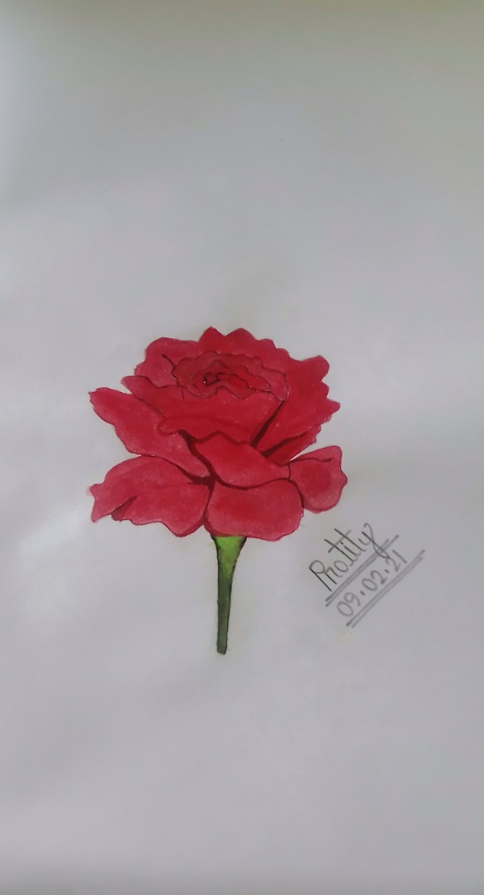 Premium Vector | Colored pencil drawing of a flower with a white background