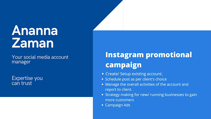 do high quality instagram promotional campaign