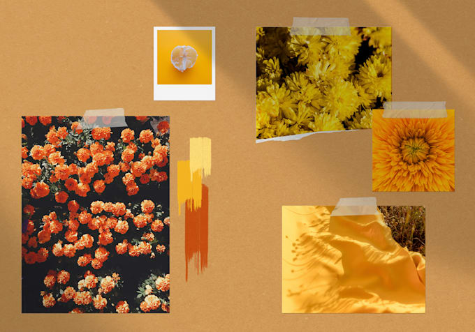 create a beautiful moodboard for you