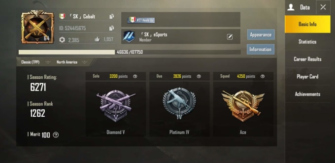 Push Rank In Pubg With Decent Kd For You By Arslanbaig007 Fiverr