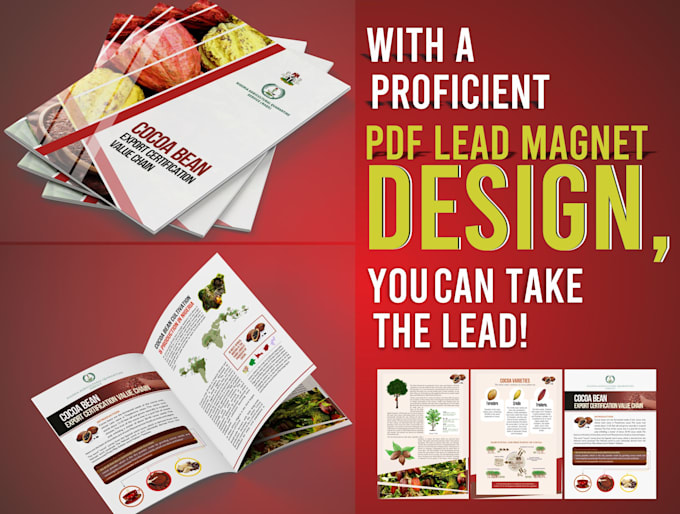 do a proficient PDF lead magnet designs and more