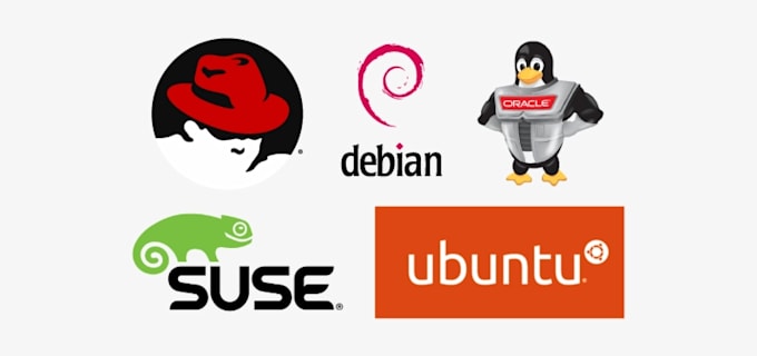 provide end to end devops services ci cd docker kubernetes