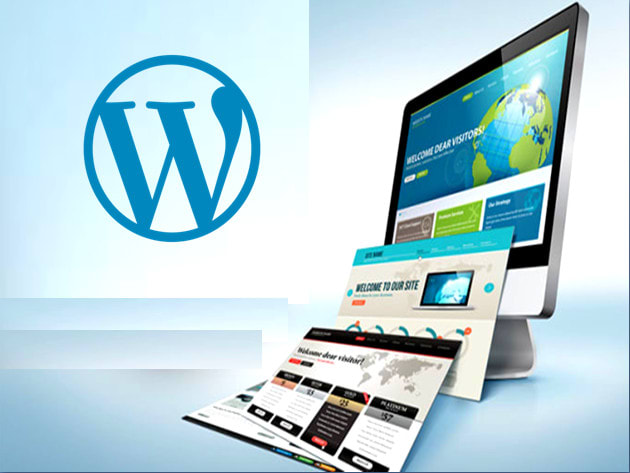 be your wordpress, ecommerce personal virtual assistant