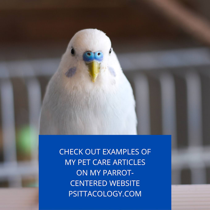 write a 1000 word article about pet care