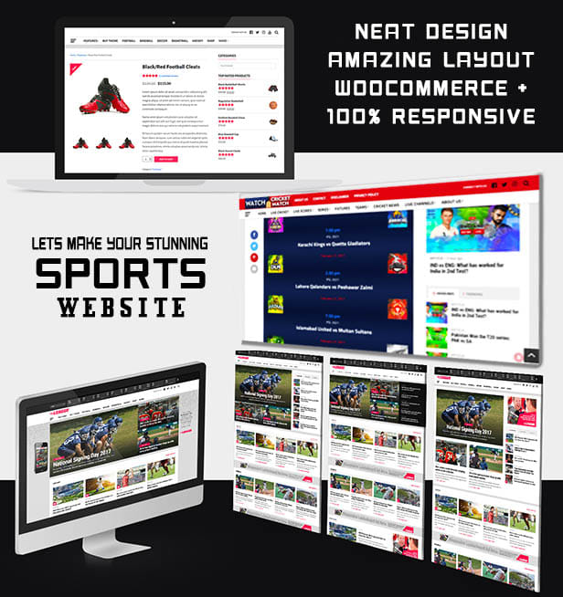 create a responsive and professional sports website