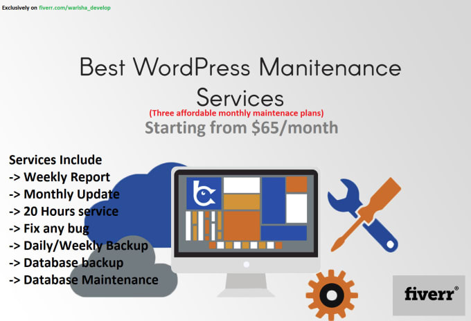 Monthly WordPress website maintenance