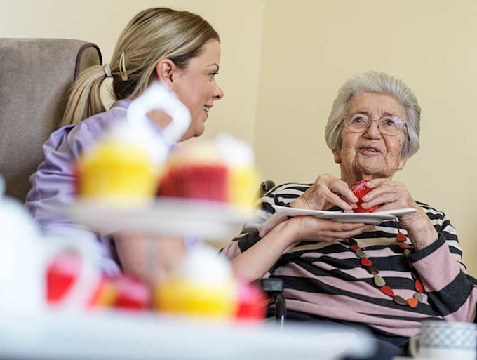 create a care home, adult care, healthcare, hospital business plan