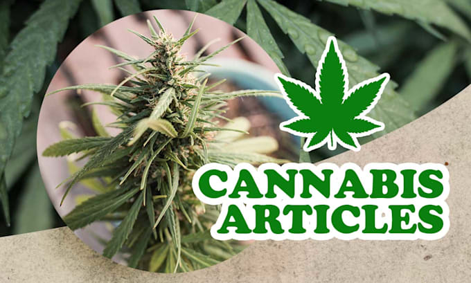 write cannabis articles for growers