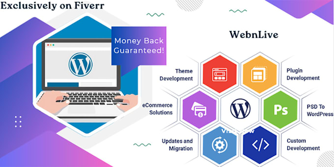 be your trusted on demand wordpress developer