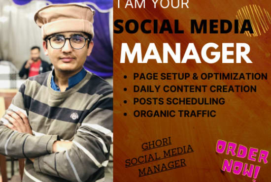 be your social media manager and posts creator