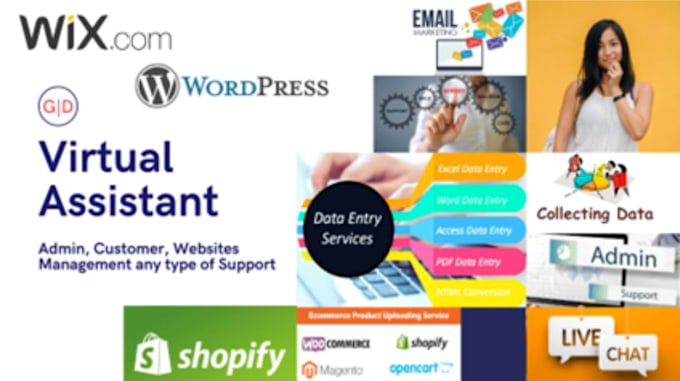 be your virtual assistant for all type of support for websites admin data entry