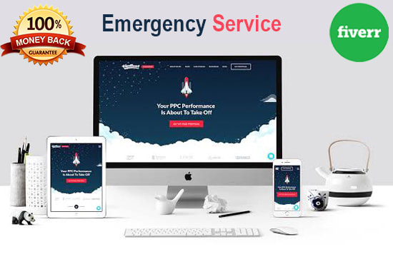 build a responsive wordpress any woocommerce website