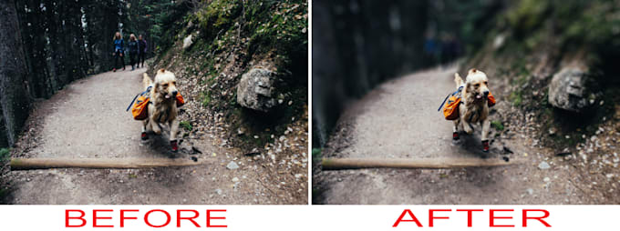 blur the image or photo background