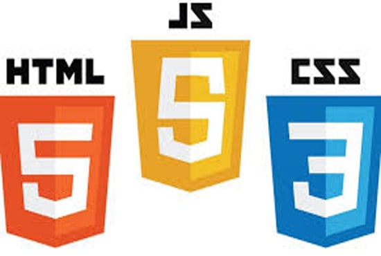 create professional website using html css and javascript