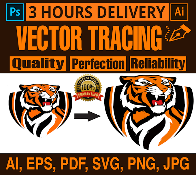do precise vector tracing of any image