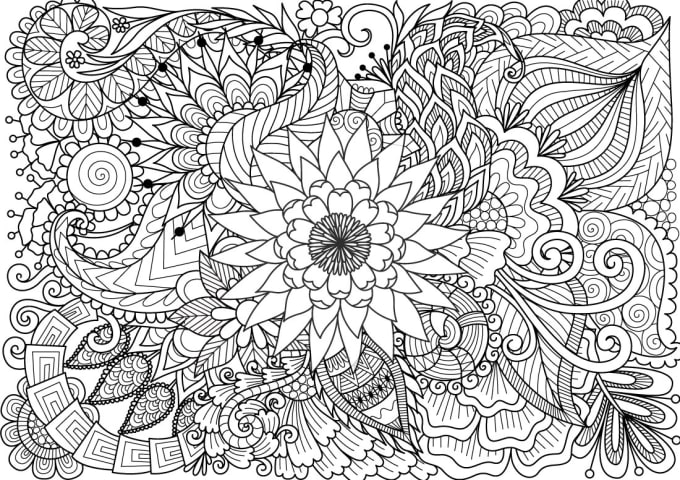 Create line art for adult coloring book pages within 24 hours by Umair