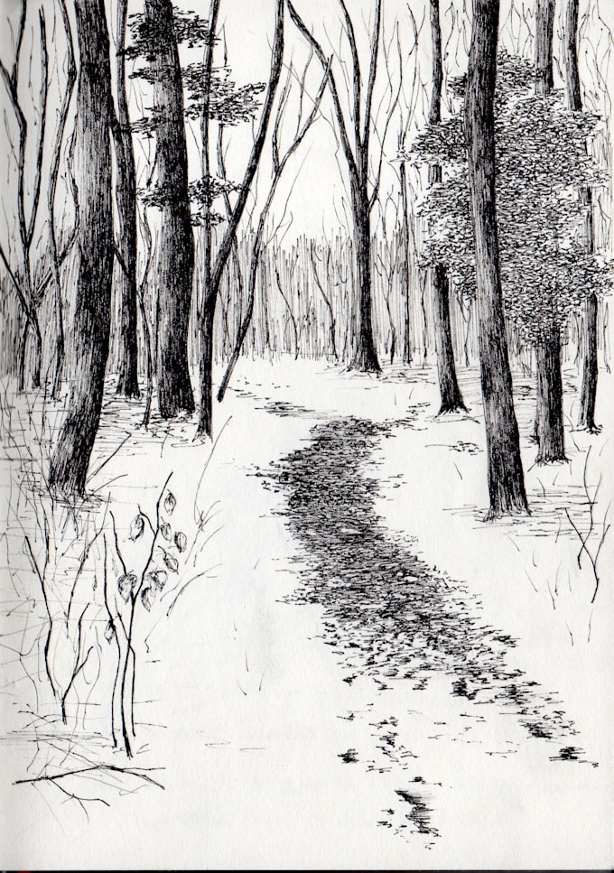 create a black and white hand drawn illustrations in ink