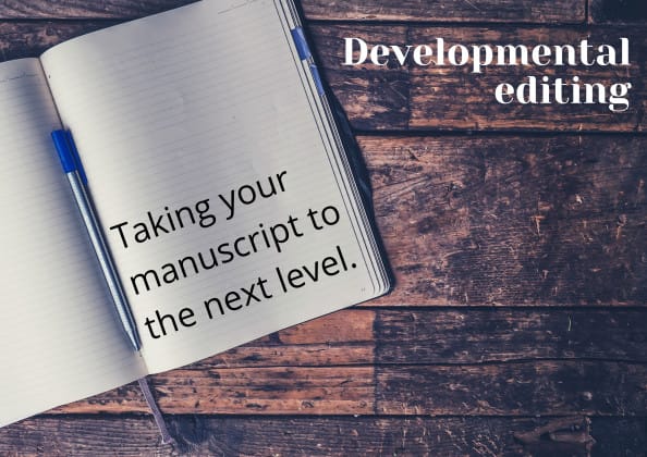provide a report on the plotline of your manuscript