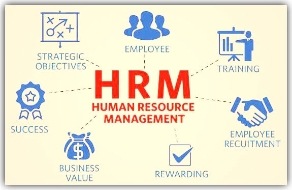 I will do human resource management tasks