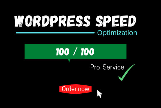 speed optimize your wordpress website