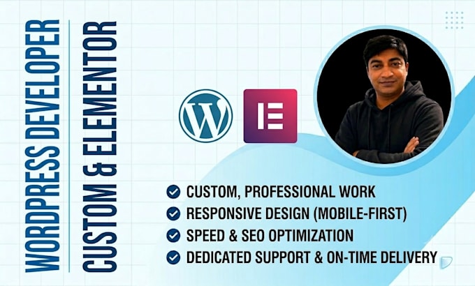 build a professional wordpress website