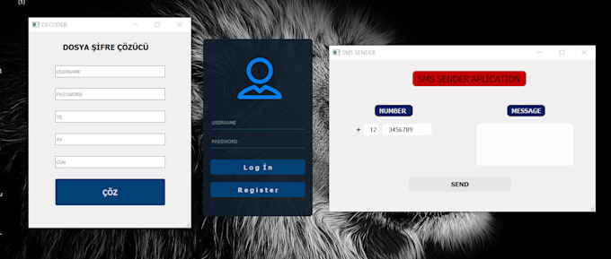 create your application with python and your requests