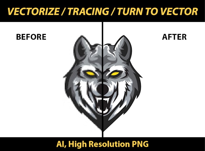 vectorize or vector tracing in 1 day