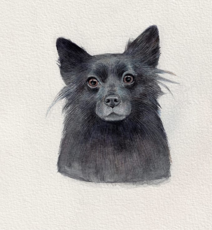 Draw realistic watercolor portrait of your animal pet cat dog by ...