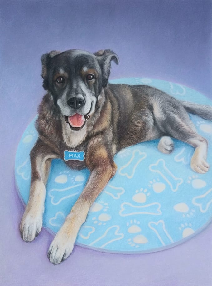 draw a realistic portrait of your pet in pastel