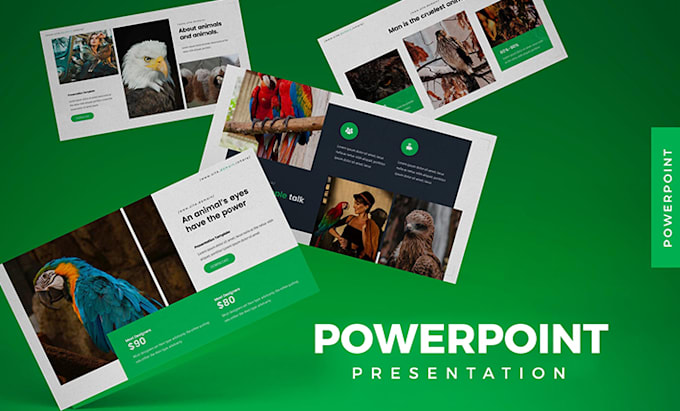 design a professional powerpoint presentation or pitch deck