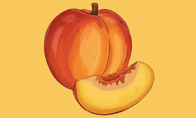 make a realistic food illustration in my style
