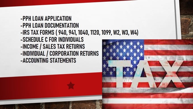 prepare-your-usa-tax-return-schedule-c-ppp-loan-services-by-account