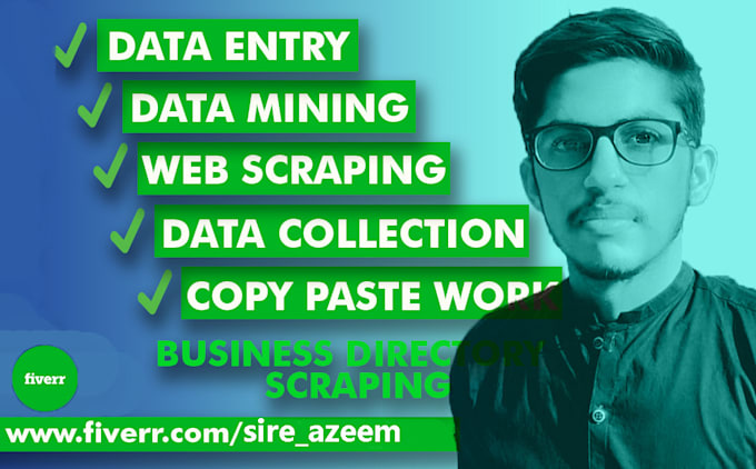 do data entry PDF to excel, PDF to word, data mining, and web search