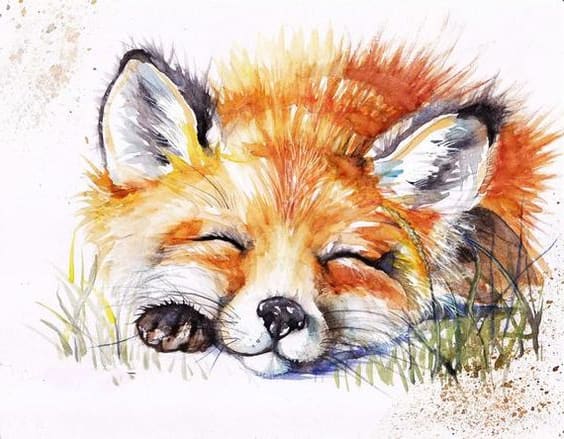 Draw animals in watercolor illustration by Sonarkonna0 | Fiverr