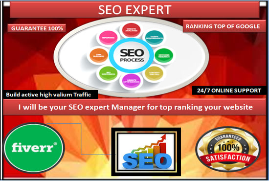 be your SEO expert manager for top ranking your website