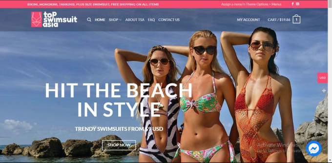 design and customize a wordpress website