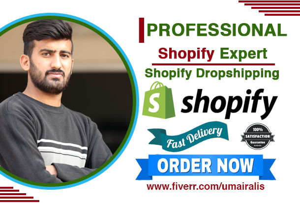 build shopify dropshipping store or shopify website