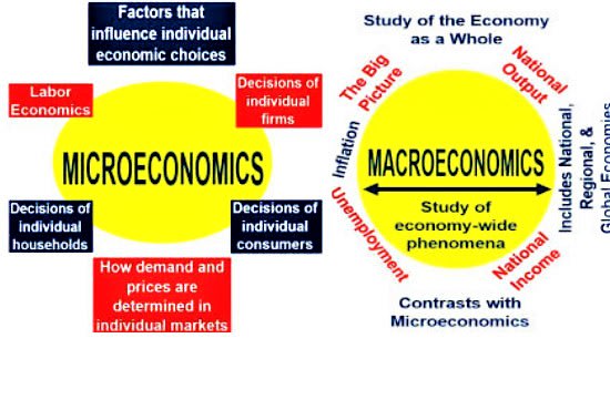 write researched essays on micro and macro economics for you