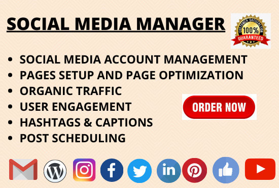 be your social media marketing manager