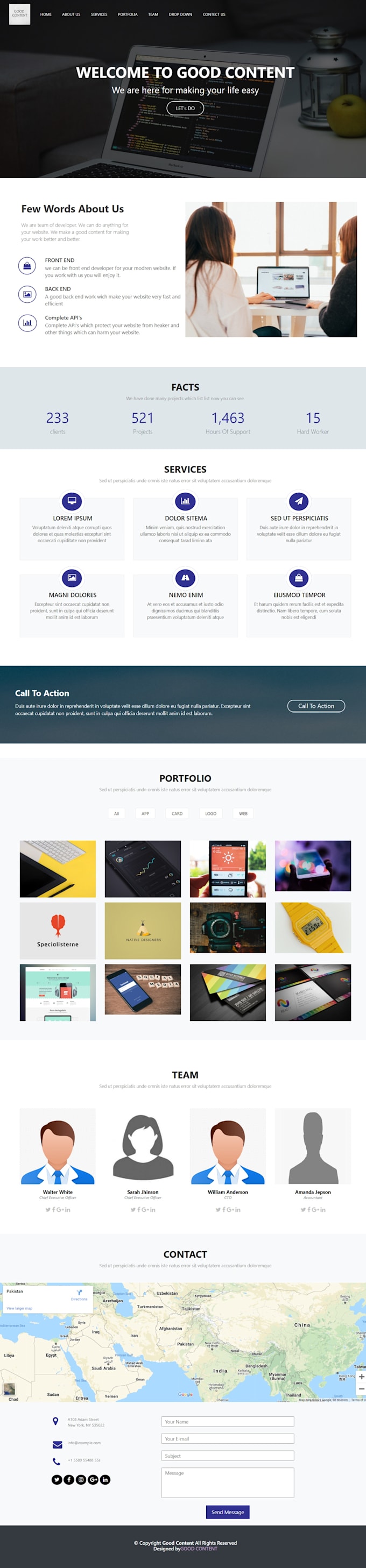 fixe bugs, errors, fault and make a custom website