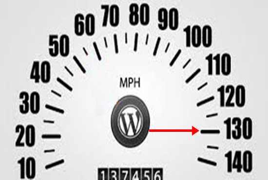 speed up your Wordpress website