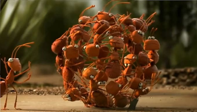 customize logo and slogan in funny ant video