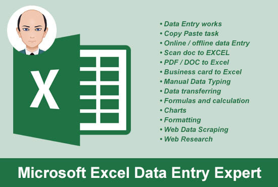 do excel data entry