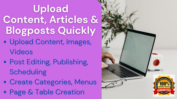 upload content, articles and blogposts as wordpress virtual assistant VA