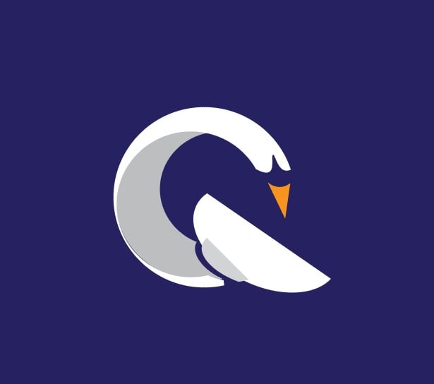 Design An Amazing Logo And Optional Animation Video