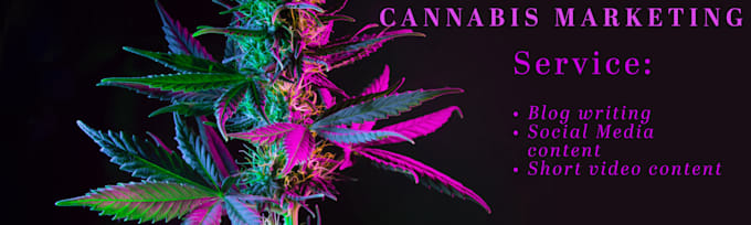 write content for your recreational cannabis business
