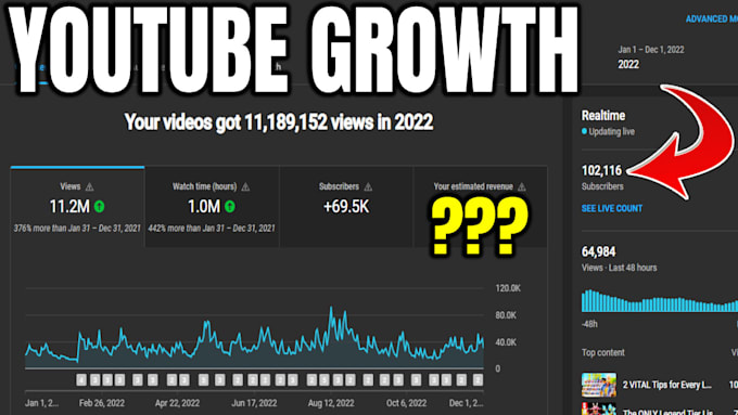 be your youtube coach and consultant