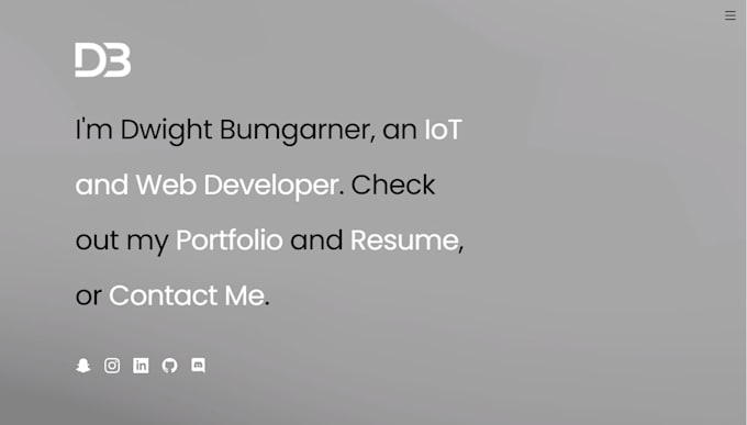 be your professional web developer