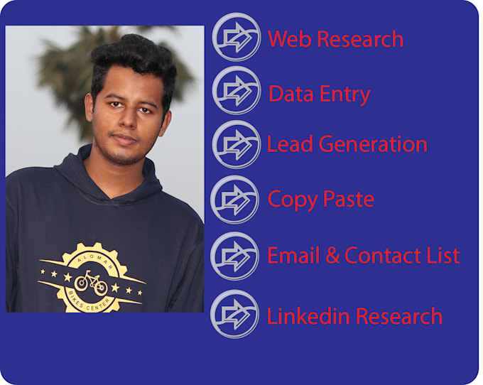 do web research, data entry and copy paste manually