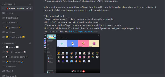 Make A Professional Discord Server For You By Icerberius Fiverr